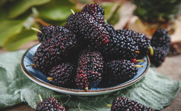 五月份有什么当季水果