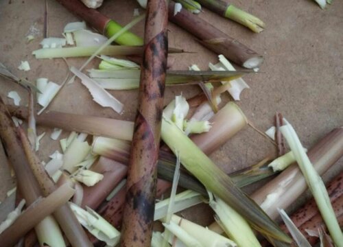 竹笋怎么剥皮比较好