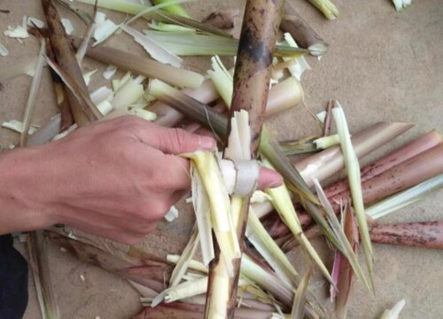 竹笋怎么剥皮比较好