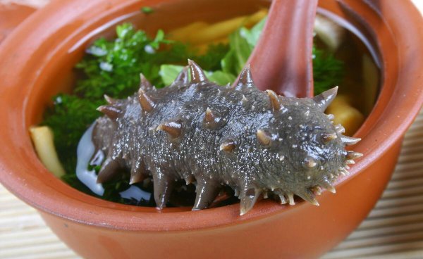 海参怎么鉴别好坏