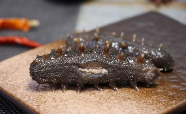 海参怎么鉴别好坏