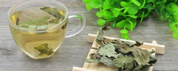 荷叶和山楂泡水喝可以减肥吗