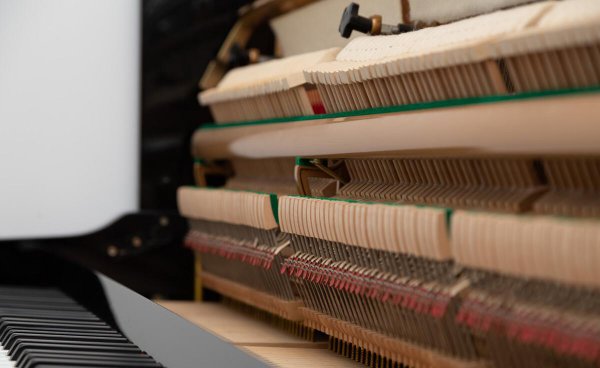 钢琴键不回弹的原因与处理