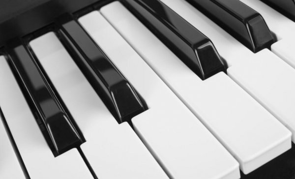 钢琴键不回弹的原因与处理