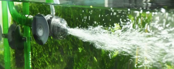 小鱼缸打氧多长时间最合适