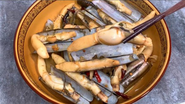 海边的蛏子为什么撒盐就出来