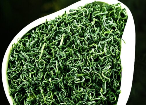 高山云雾茶属于什么茶