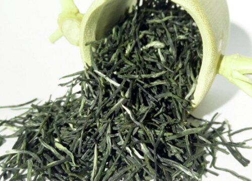 高山云雾茶属于什么茶