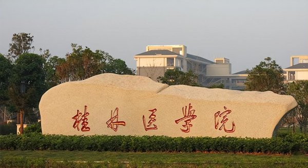 广西一本院校有几所