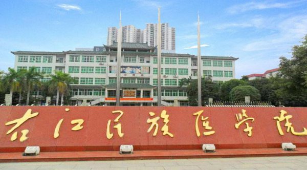 广西一本院校有几所