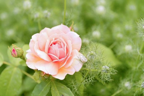 如果一个男人不爱你了是什么表现