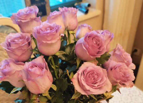 玫瑰花象征着什么意义