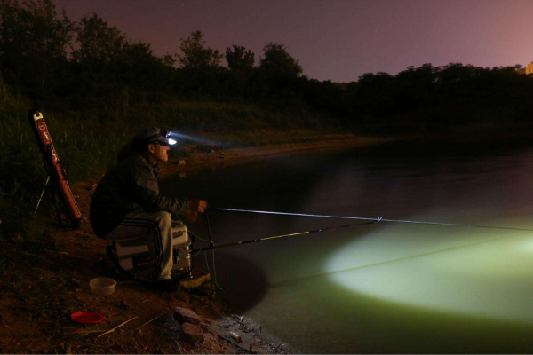 国内最大的毒蛇是什么