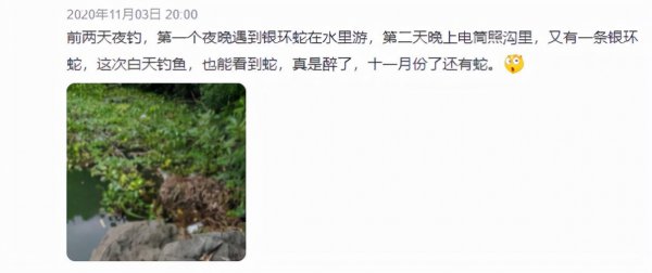 国内最大的毒蛇是什么