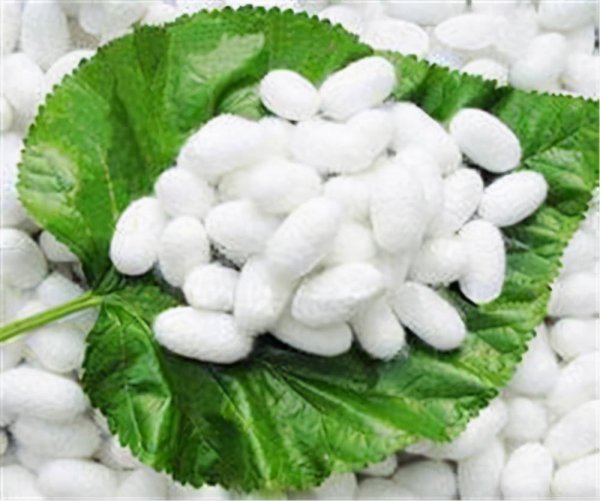 桑蚕丝衣服用什么洗涤剂最好