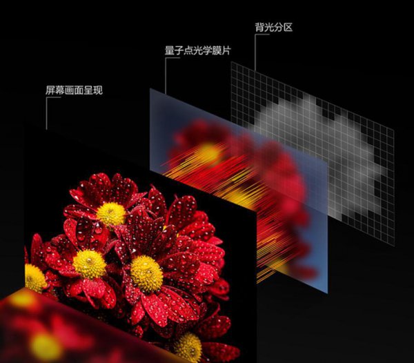 海信和tcl哪个画质更好