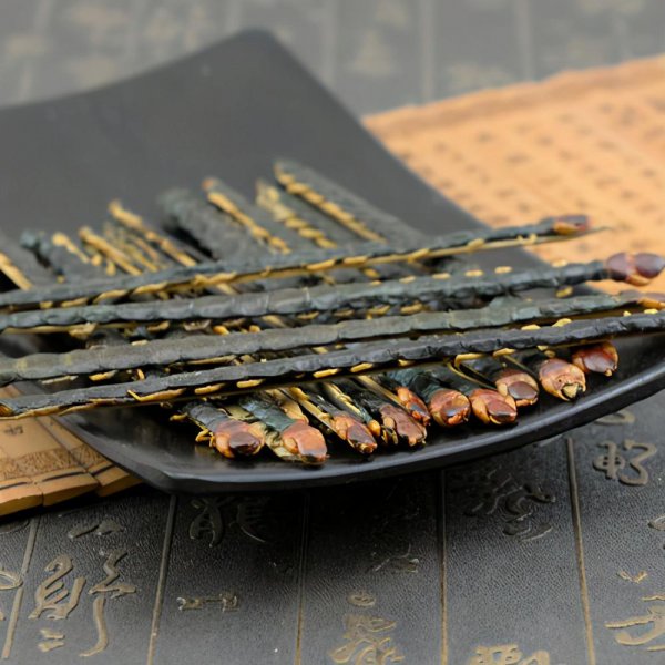 像蜈蚣一样的虫子很臭叫什么