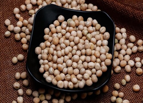 豌豆可以生吃吗