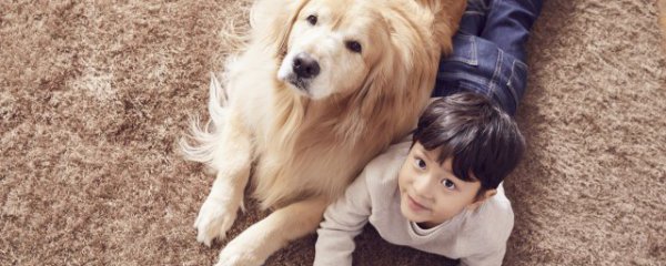 狗狗可以喝豆浆吗