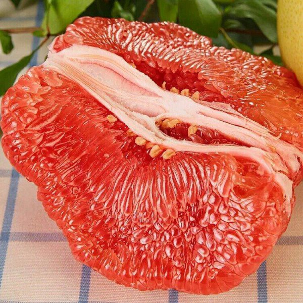 11月当季水果有哪些