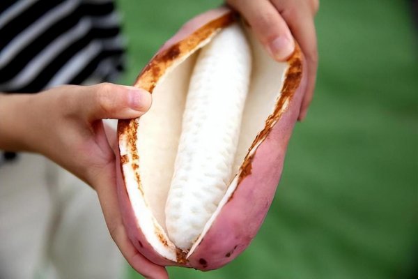 11月当季水果有哪些