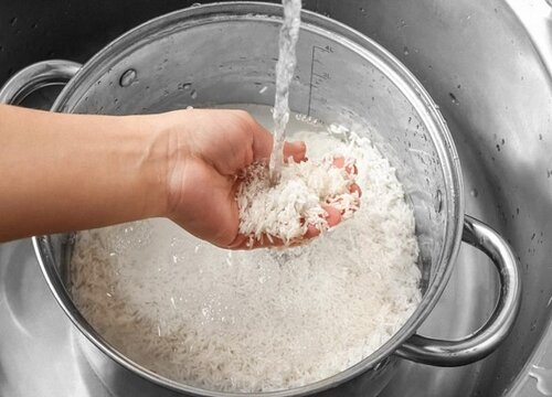 盆栽杜鹃花浇什么水最好