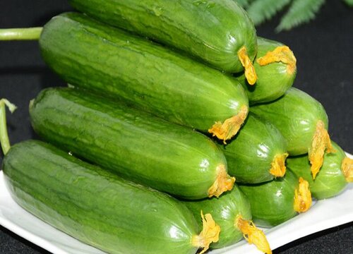 黄瓜的储存方法有哪些