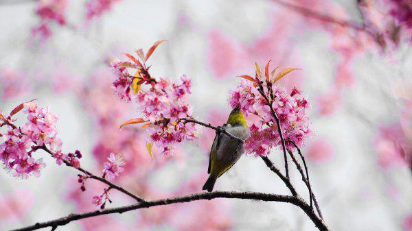 分手了男人不删你也不联系你