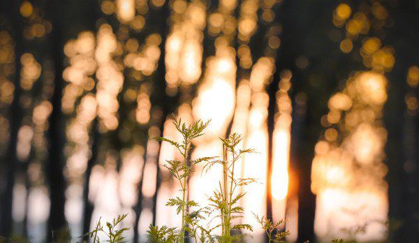 分手了男人不删你也不联系你