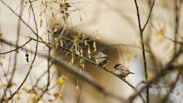 分手了男人不删你也不联系你