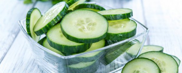 冬天怎么种植黄瓜