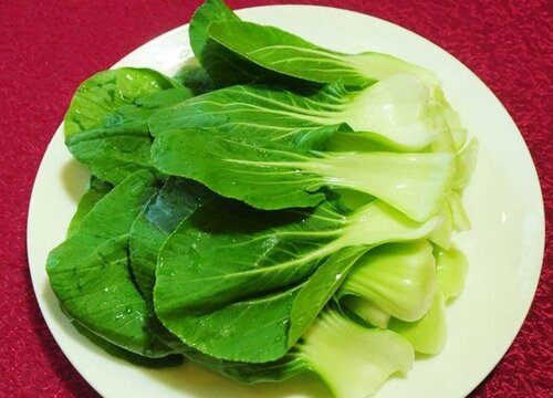 四川瓢儿菜又名什么学名