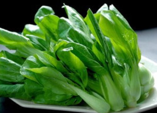 四川瓢儿菜又名什么学名