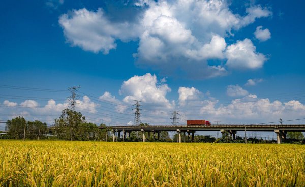 四季月份正确的分法