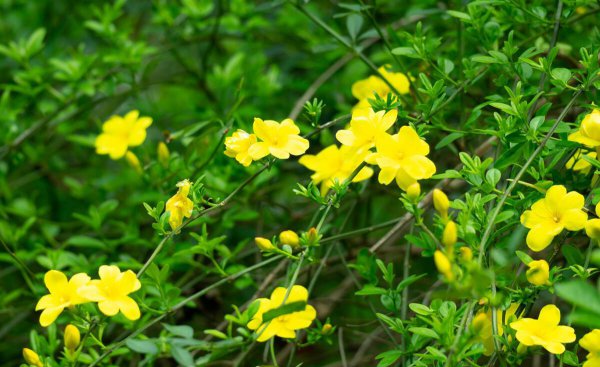 四季月份正确的分法