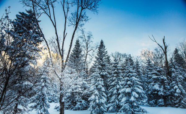 四季月份正确的分法