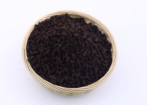 羊粪如何养文竹新芽总是蹿不停