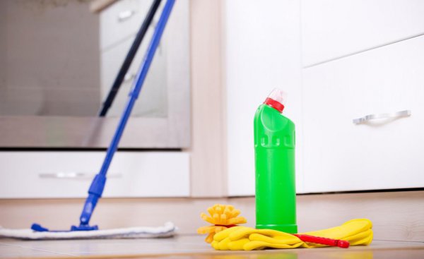 养猫家里臭味怎么去除