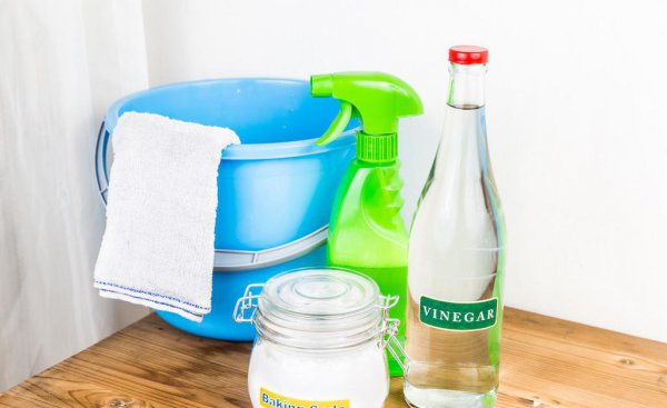 养猫家里臭味怎么去除