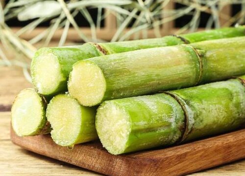 甘蔗放冷藏还是冷冻