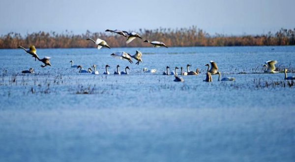 宿鸭湖水库简介