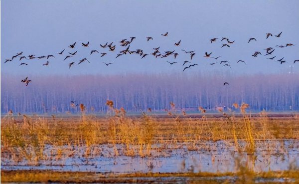 宿鸭湖水库简介