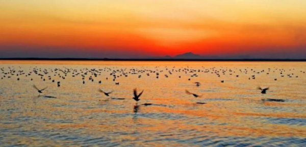 宿鸭湖水库简介