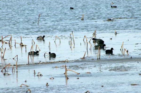 宿鸭湖水库简介