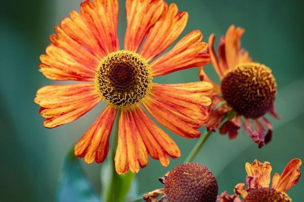 男人眼中的温柔是什么样的