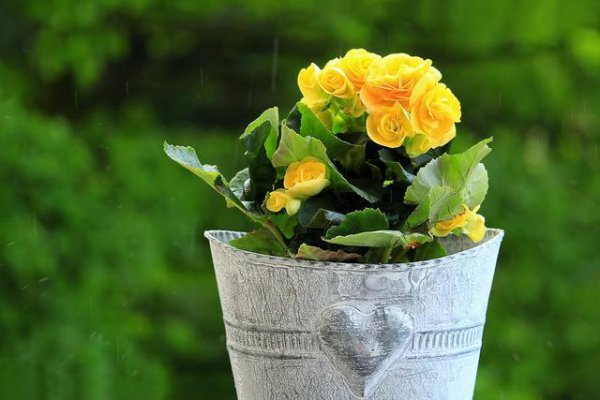 男人眼中的温柔是什么样的