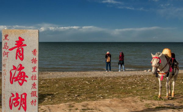 青海面积是多少万平方千米