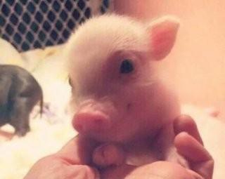 晚上和对象聊什么能吸引她