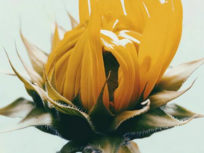 双鱼座天生能力特性 双鱼座身上有哪些异于常人的天赋