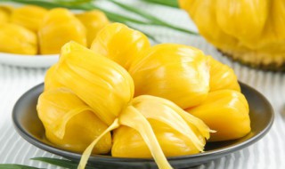 生的菠萝蜜能吃吗 生的菠萝蜜能不能直接食用呢